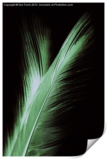 Feather and it's reflection Print by Zoe Ferrie