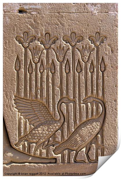 Dendera Carving 8 Print by Brian  Raggatt