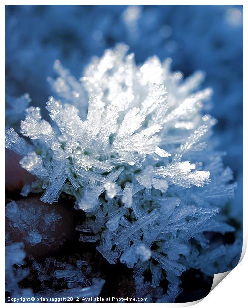 Ice Crystals Print by Brian  Raggatt