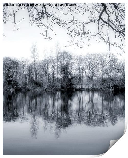 Lake Reflections Print by Brian  Raggatt