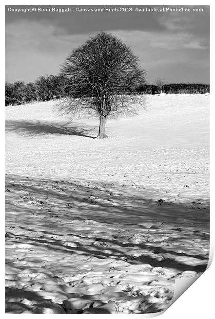 Tree on snow hill Print by Brian  Raggatt