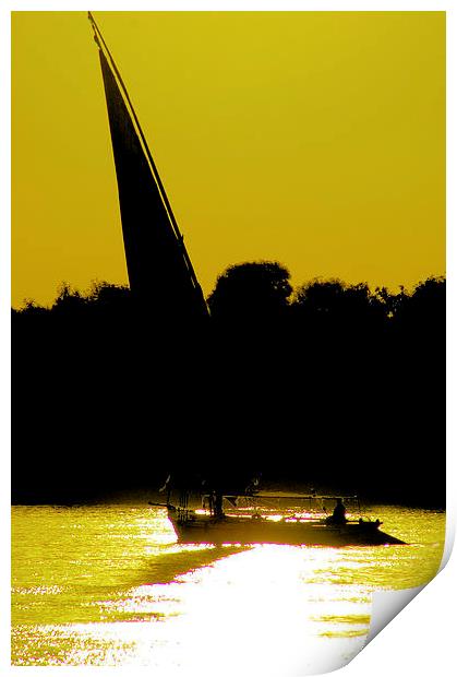 Sunset sailing Print by Brian  Raggatt