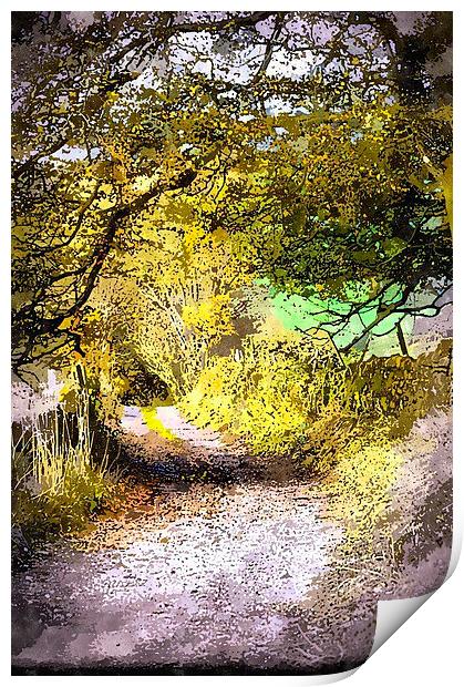 Peak District lane watercolour Print by Brian  Raggatt