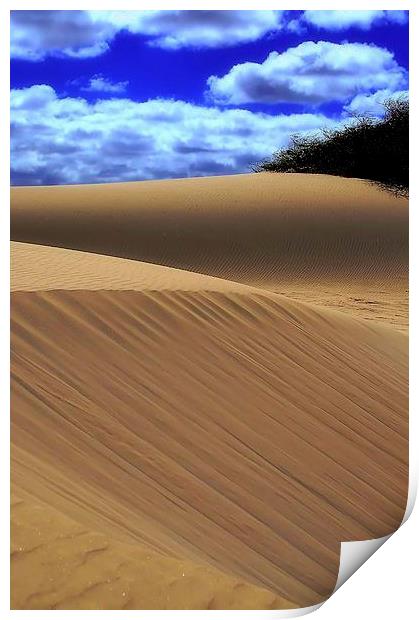 Desert Dunes Print by Brian  Raggatt