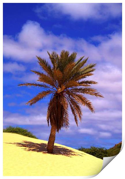 Tropical Island Palm Tree Print by Brian  Raggatt