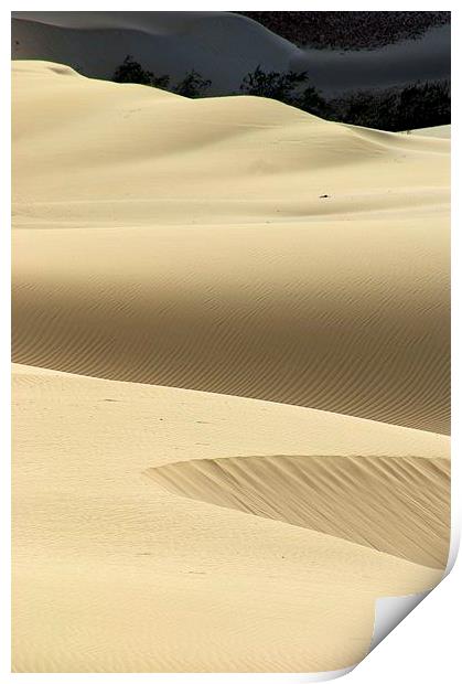 Island Desert Dunes Print by Brian  Raggatt