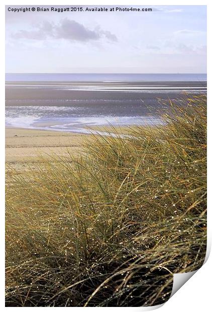  Swansea Bay Grass Dunes Print by Brian  Raggatt