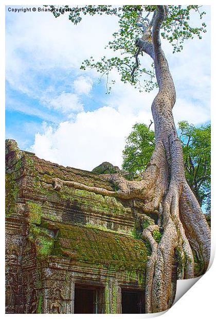  Angkor Temple Tree Roots Print by Brian  Raggatt