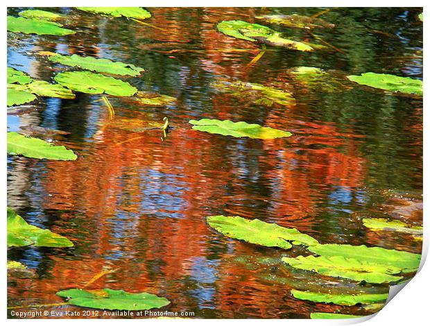 Lily Pads Over Reflections Print by Eva Kato
