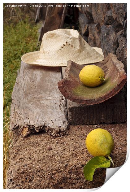 Lemons and straw hat found still life Print by Phil Crean
