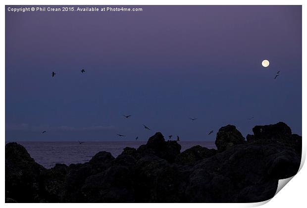  Full moon, seagulls, rocks, at the coast at dawn Print by Phil Crean