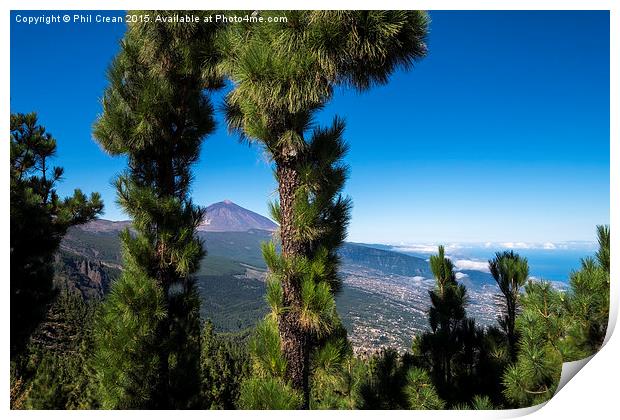  Mount Teide viewed through pine trees, Tenerife. Print by Phil Crean