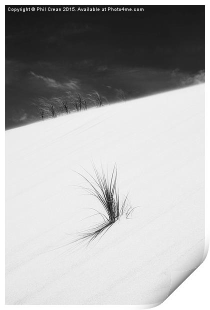  Sand dune and grass, New Zealand Print by Phil Crean