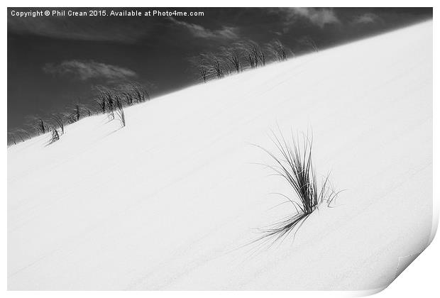  Sand dune and grass II Print by Phil Crean
