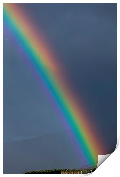 Vivid rainbow Print by Phil Crean