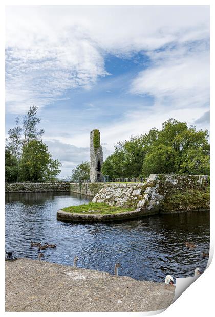 Garrykennedy Castle, Lough Derg, Tipperary, Ireland Print by Phil Crean