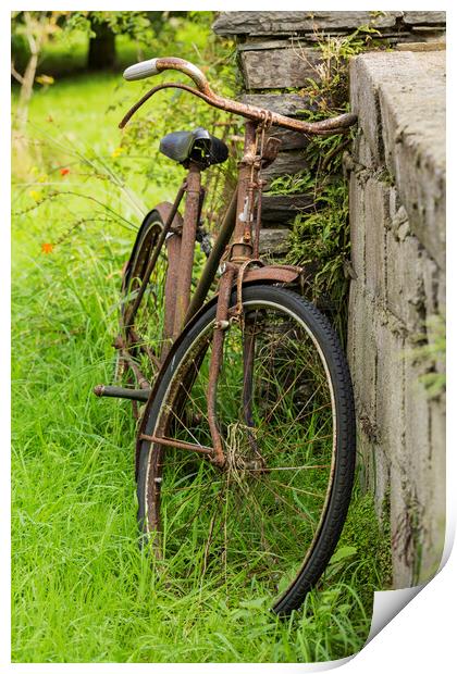 Rusty old bicycle, West Cork, Ireland Print by Phil Crean