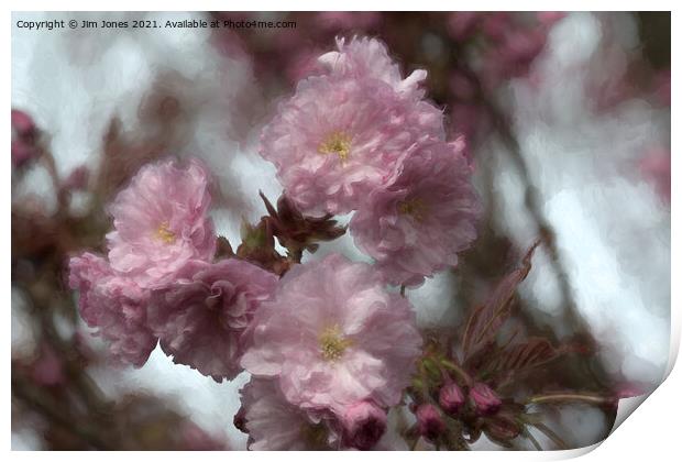 Dreamy Soft Cherry Blossom Print by Jim Jones