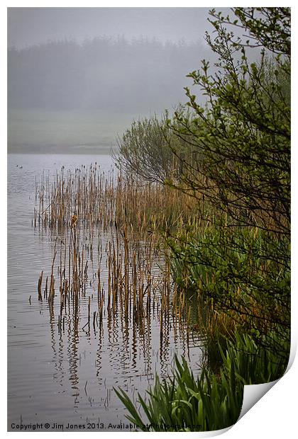 Mist on the Lake Print by Jim Jones