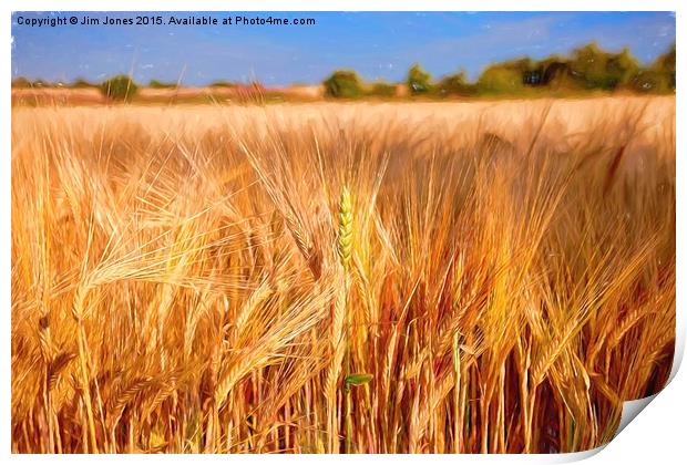  Wheat among the Barley Print by Jim Jones