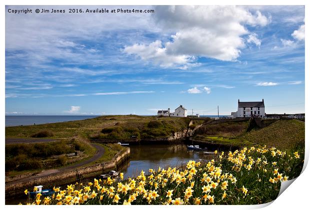 Springtime at the coast Print by Jim Jones