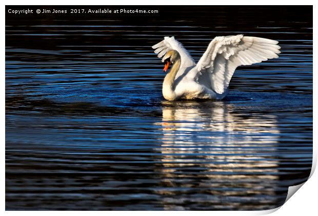 Stretching Swan Print by Jim Jones