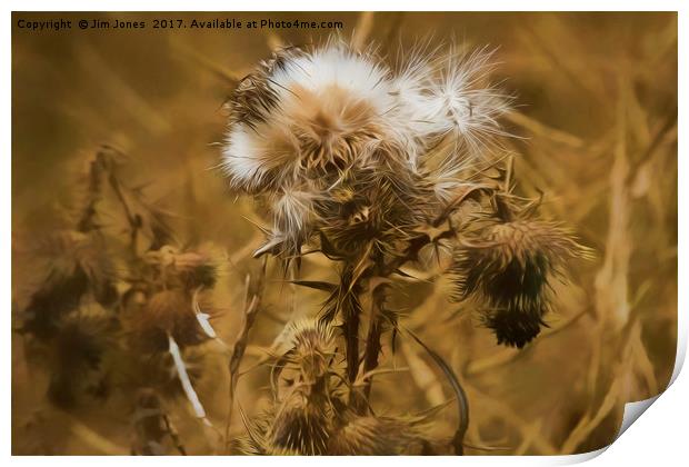 Dead Thistle with pastel filter Print by Jim Jones