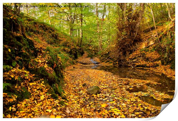 Woodland stream in Autumn Print by Jim Jones