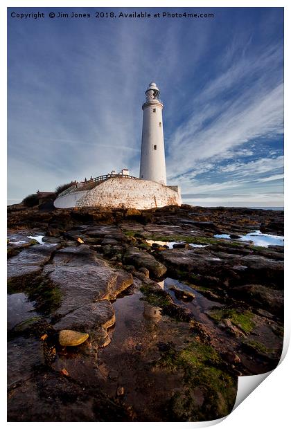 St Mary's Island and Lighthouse (Portrait view) Print by Jim Jones