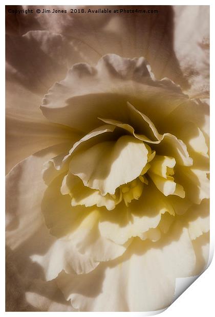 A lighter shade of pale..... Print by Jim Jones