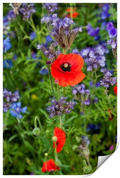 Poppy among Wild Flowers Print by Jim Jones