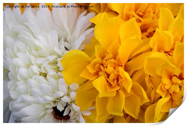 Yellow and White Chrysanthemums Print by Jim Jones