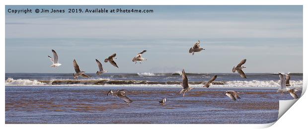 Seventeen super seaside seagulls Print by Jim Jones