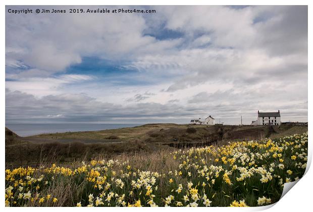 Springtime at Seaton Sluice harbour Print by Jim Jones