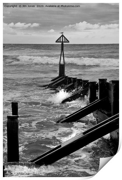 The Groyne at Seaton Sluice in Black and White Print by Jim Jones