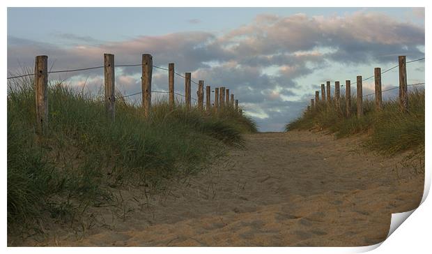 Sandy path Print by Ian Jones