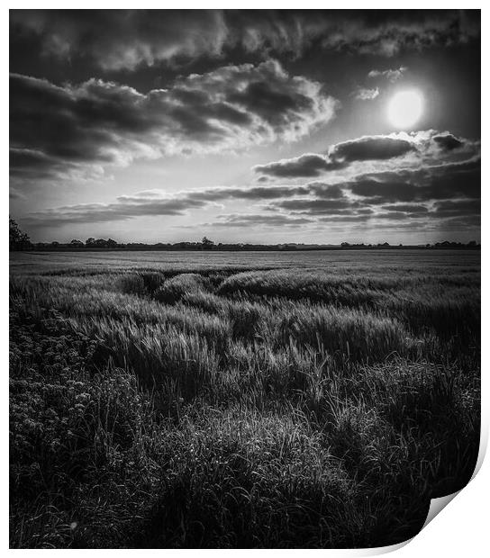 Across the fields  Print by Kim Slater
