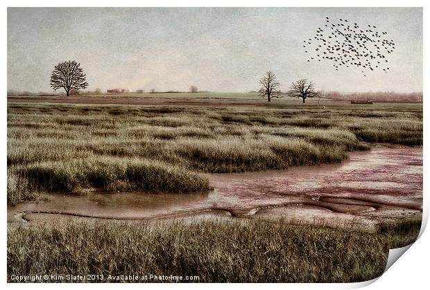 The Marsh Print by Kim Slater