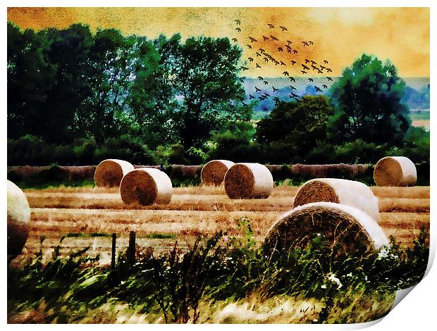  Harvest Print by Kim Slater
