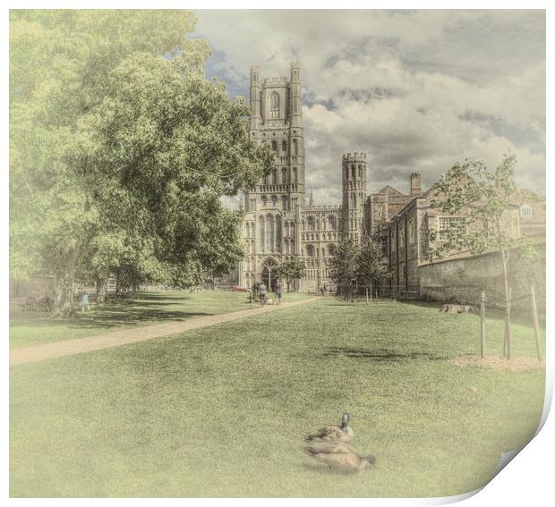 Ely Cathedral Print by Kim Slater