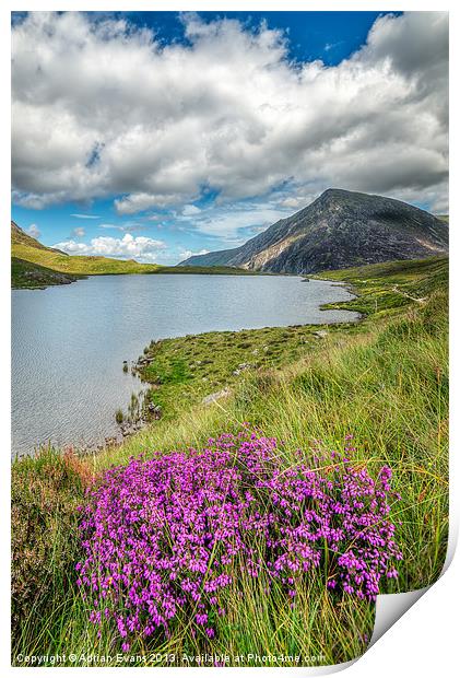 Idwal Lake Wales Print by Adrian Evans