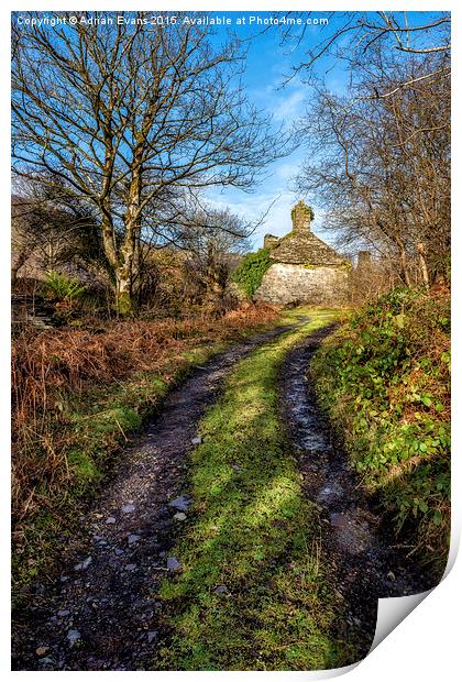 Old Cottage Print by Adrian Evans