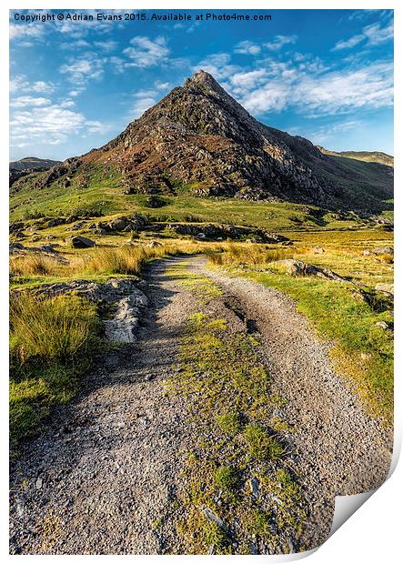 Tryfan Mountain Track  Print by Adrian Evans