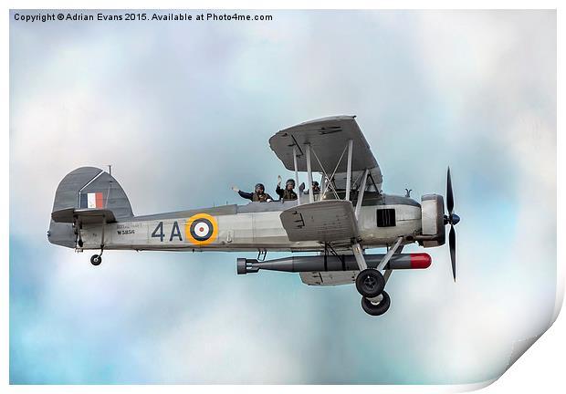 The Fairey Swordfish Biplane Print by Adrian Evans
