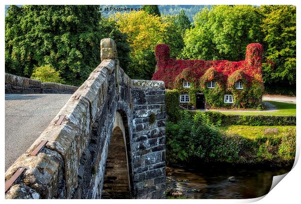 Autumn Colours Print by Adrian Evans