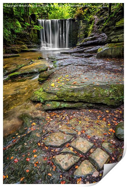 Woodland Waterfall Print by Adrian Evans