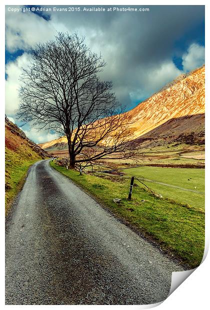 Long Road Home Print by Adrian Evans