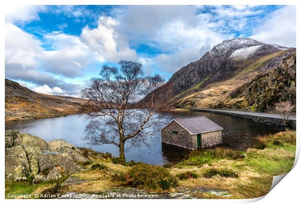 Ogwen Lake Print by Adrian Evans