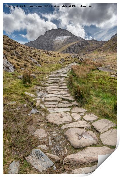Footpath To Tryfan Mountain Wales Print by Adrian Evans