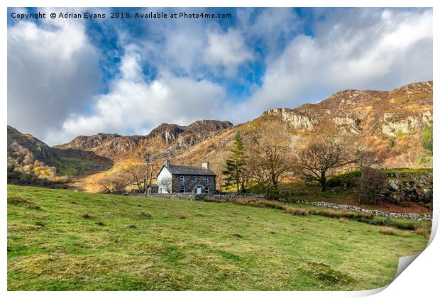 Crafnant Lake Cottage Print by Adrian Evans